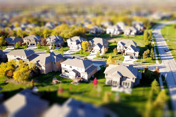 Real Estate Development & Management